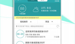 91钓鱼直播平台,揭秘钓鱼高手们的精彩瞬间与技巧分享